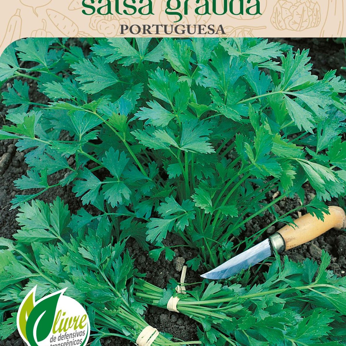Semente Horta Salsa Graúda Portuguesa, marca Topseed Garden - Foto Principal