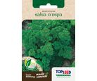 Semente Horta Salsa Crespa