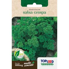 Semente Horta Salsa Crespa