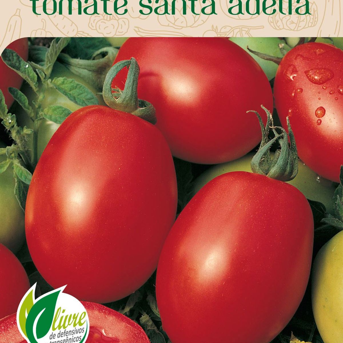 Semente Horta Tomate Santa Adélia, marca Topseed Garden - Foto Principal