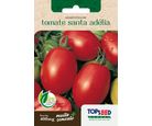 Semente Horta Tomate Santa Adélia