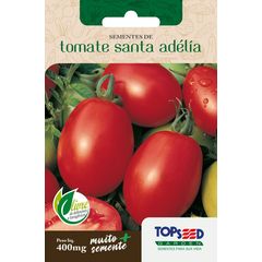 Semente Horta Tomate Santa Adélia