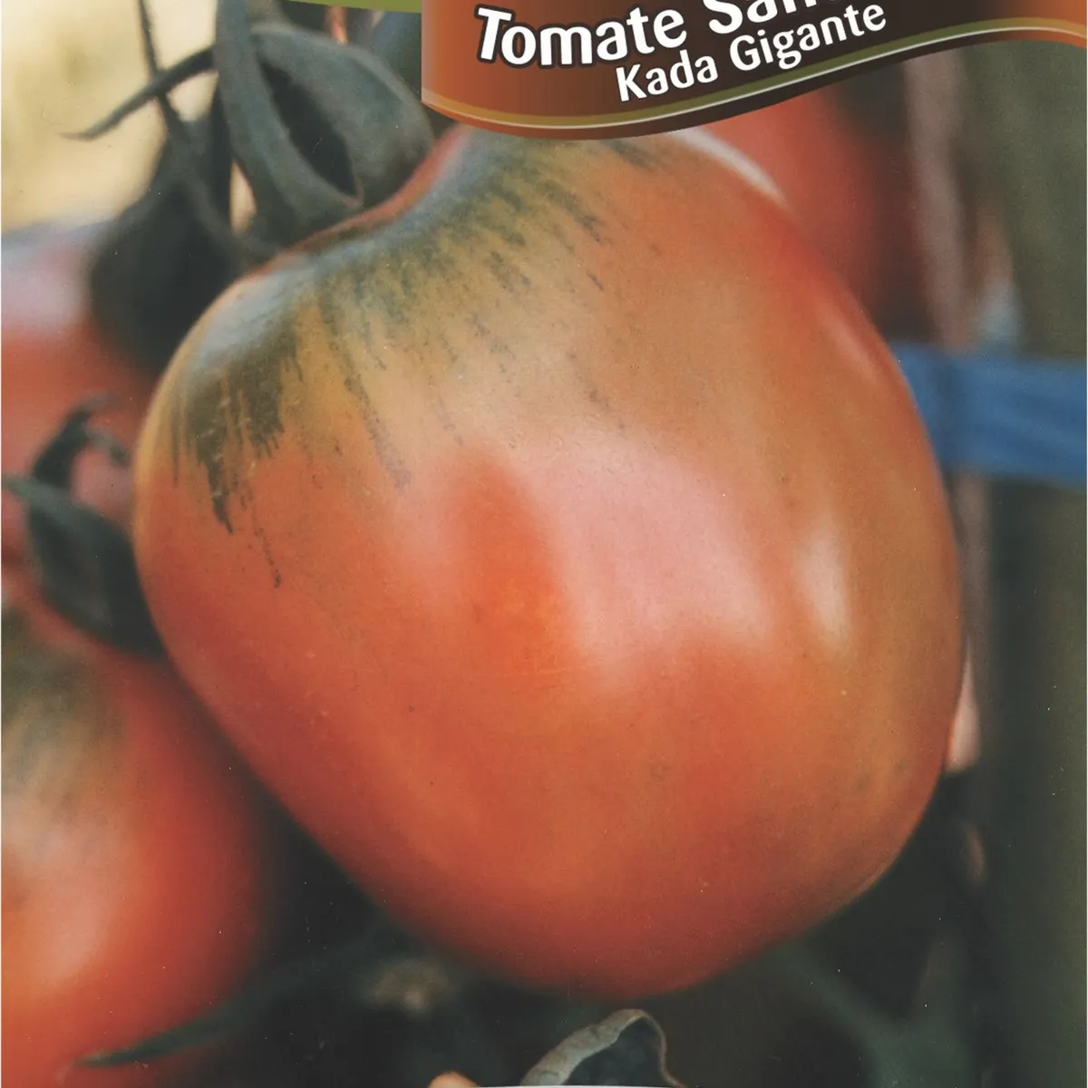 Semente Horta Tomate Santa Cruz Kada Gigante, marca Topseed Garden - Foto Principal