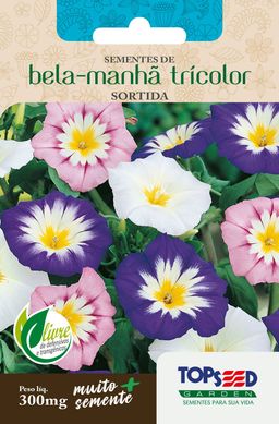 Semente Flor Bela-Manh Tricolor