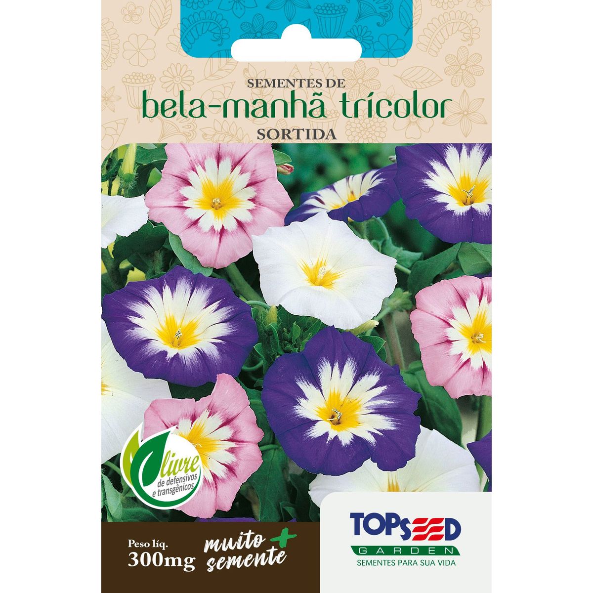 Semente Flor Bela-Manhã Tricolor, marca Topseed Garden - Foto Principal
