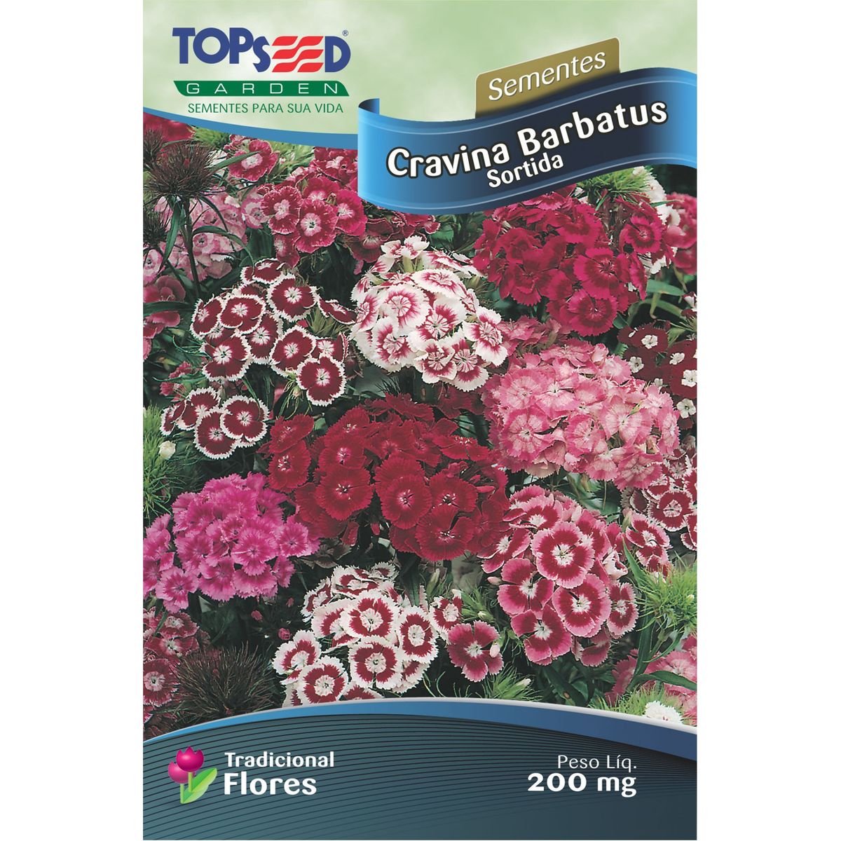 Semente Flor Cravina Barbatus Sortida, marca Topseed Garden - Foto Principal