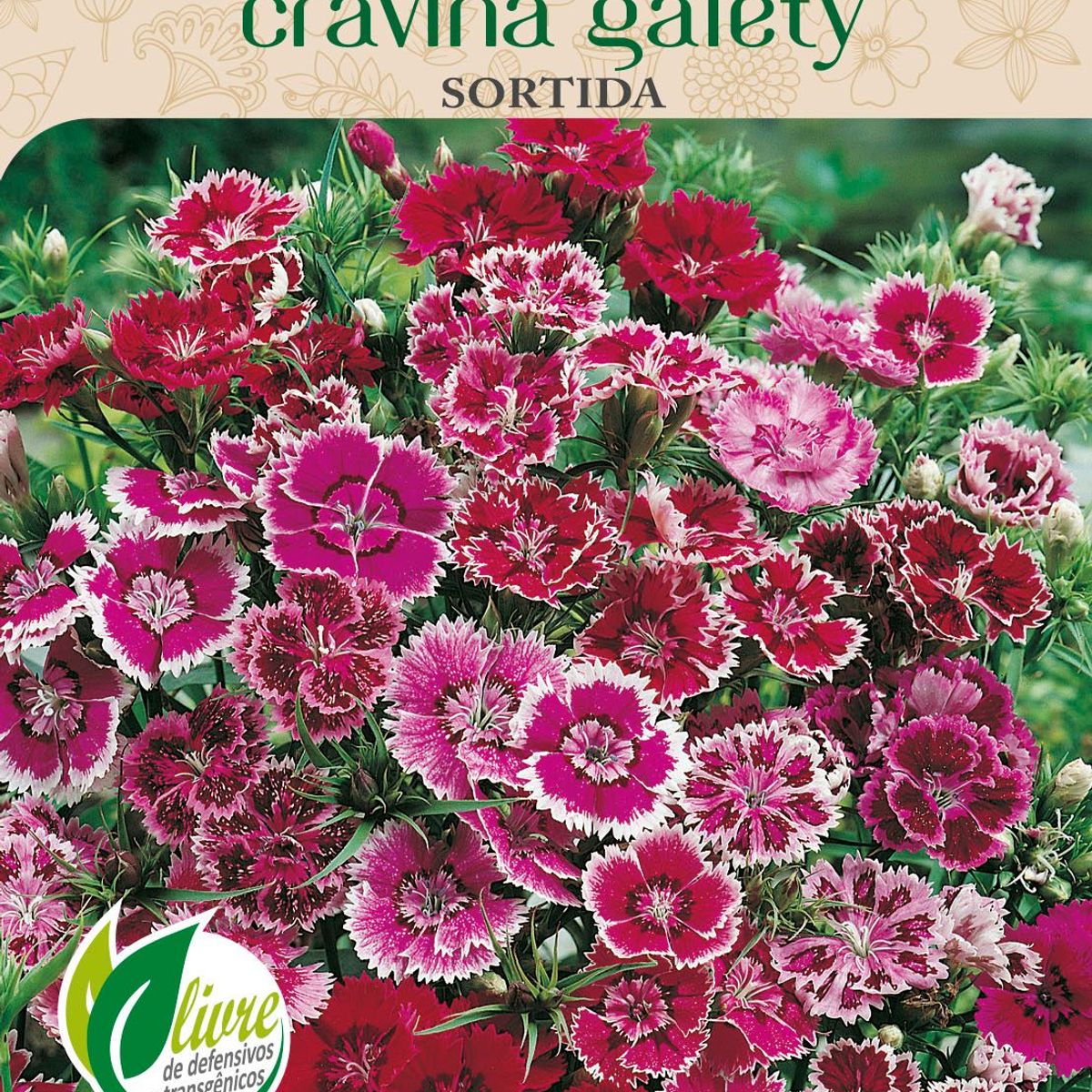 Semente Flor Cravina Gaiety Sortida, marca Topseed Garden - Foto Principal