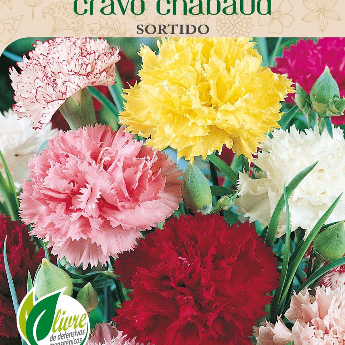 Semente Flor Cravo Chabaud, Sortido, marca Topseed Garden - Foto Principal