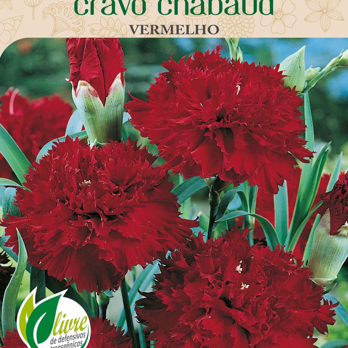 Semente Flor Cravo Chabaud, Vermelho, marca Topseed Garden - Foto Principal