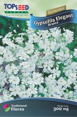 Semente Flor Gypsofila Elegante, Branco