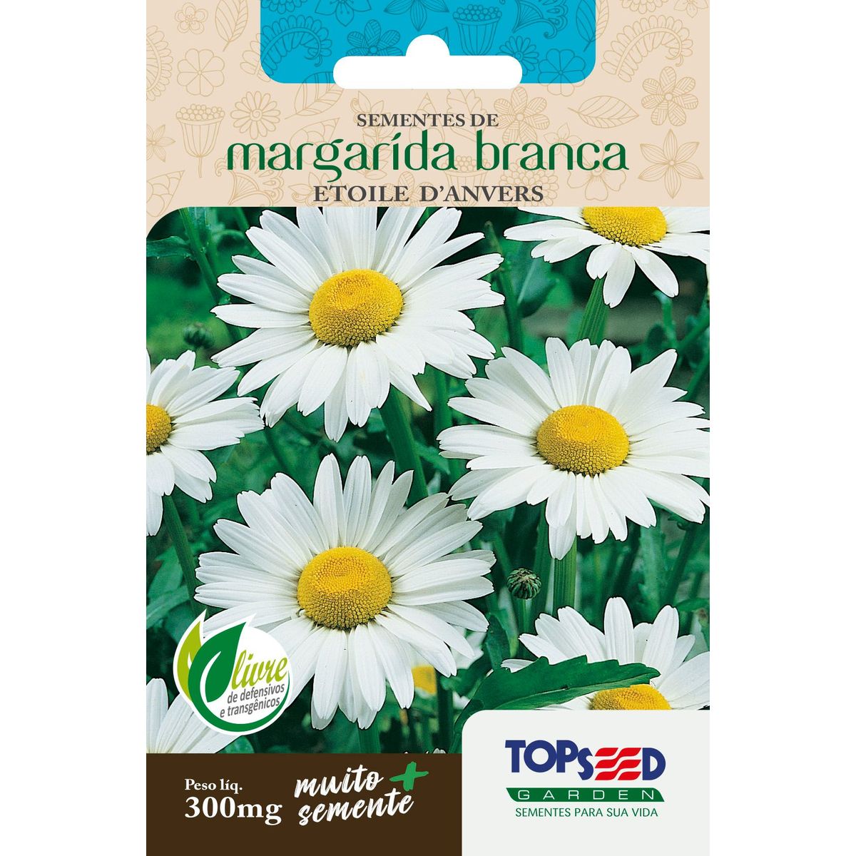 Semente Flor Margarida Etoile D' Anvers, Branca, marca Topseed Garden - Foto Principal