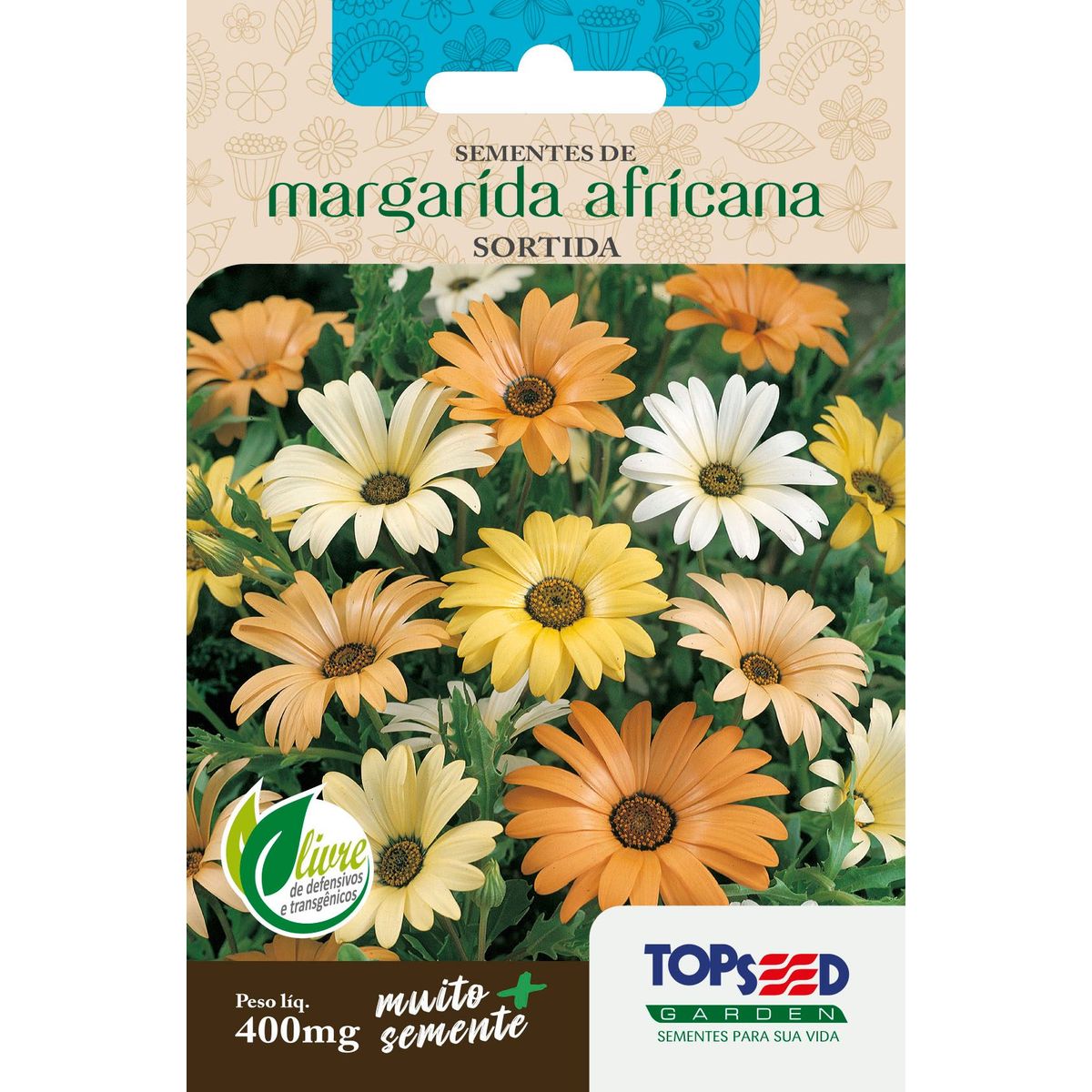 Semente Flor Margarida Africana, marca Topseed Garden - Foto Principal