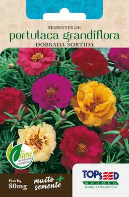 Semente Flor Portulaca Grandiflora Dobrada, Sortida