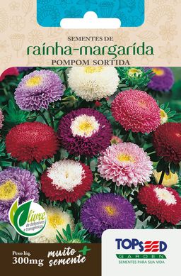 Semente Flor Rainha-Margarida Pompom