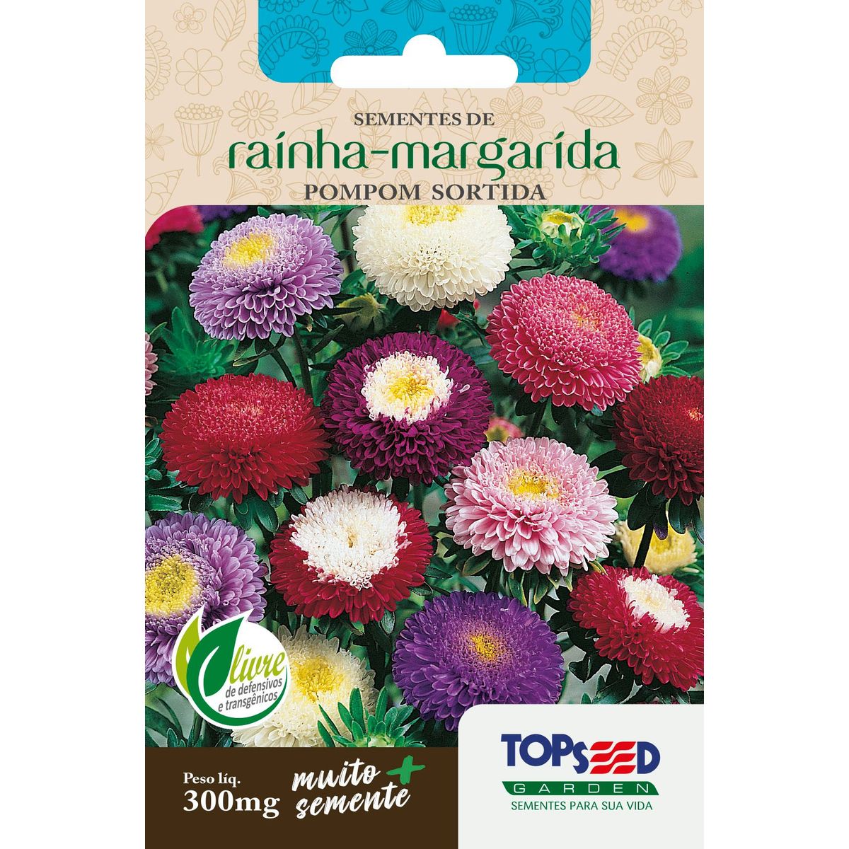 Semente Flor Rainha-Margarida Pompom, marca Topseed Garden - Foto Principal