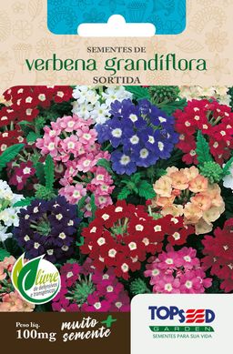 Semente Flor Verbena Grandiflor, Sortida