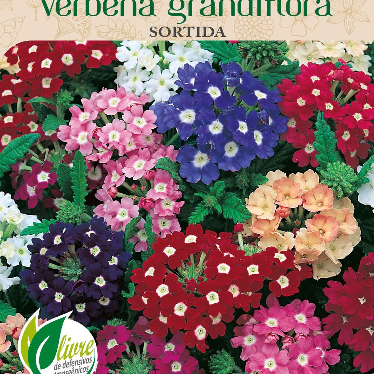 Semente Flor Verbena Grandiflor Sortida Topseed Garden, marca Topseed Garden - Foto Principal