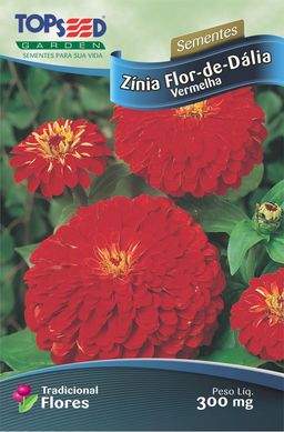 Semente Flor Znia Flor-Dlia, Vermelho