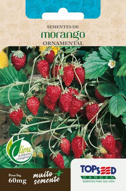 Semente Flor Morango Ornamental