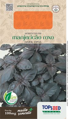 Semente Erva Manjerico Roxo Dark Opal