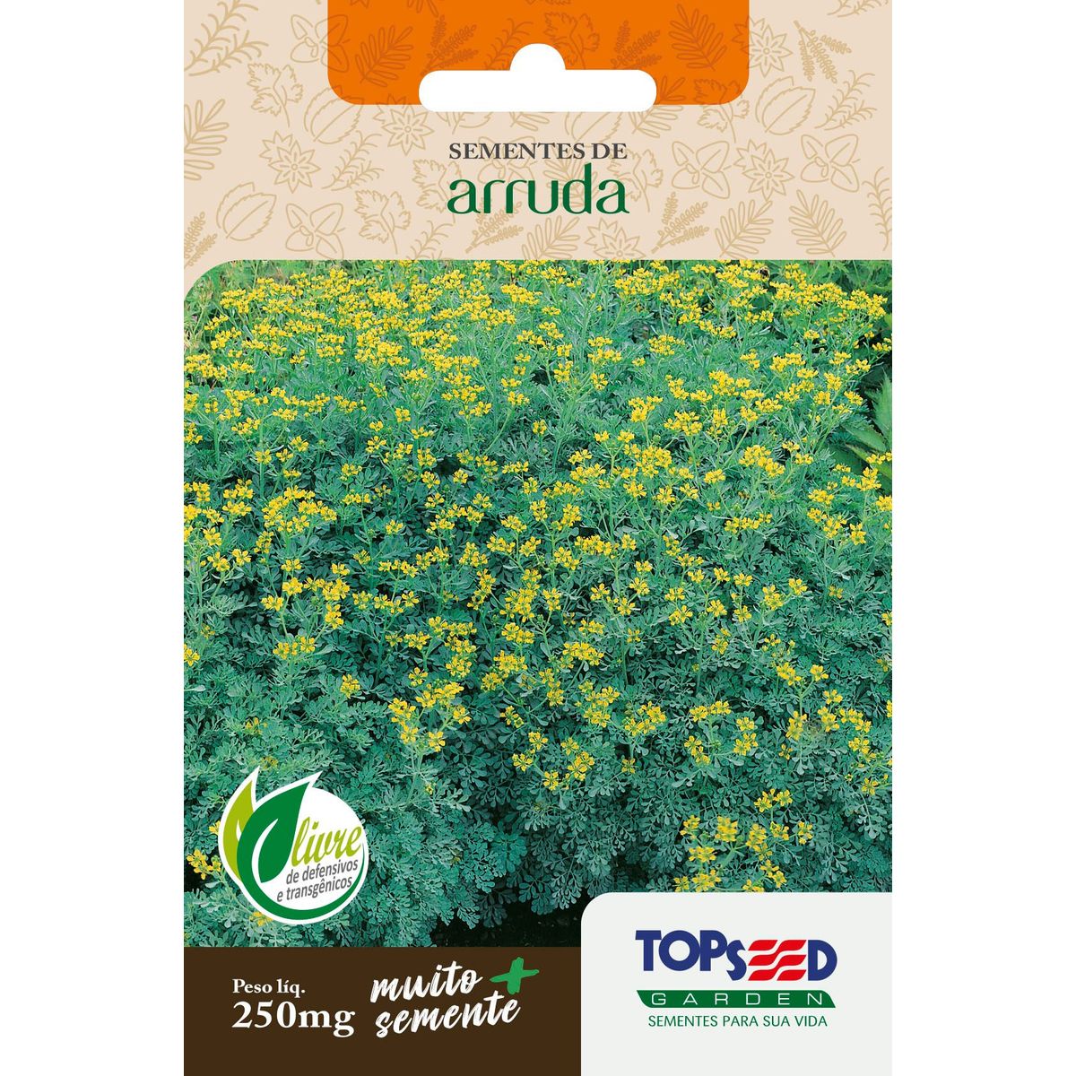 Semente Erva Arruda, marca Topseed Garden - Foto Principal