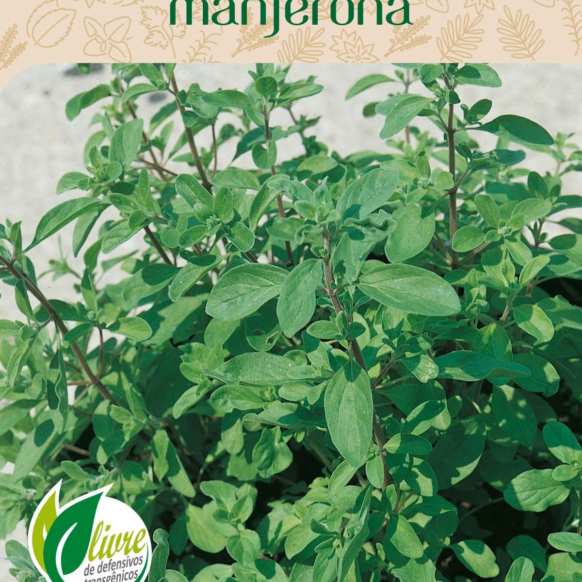 Semente Erva Manjerona, marca Topseed Garden - Foto Principal
