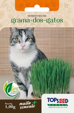 Semente Erva Grama-dos-Gatos