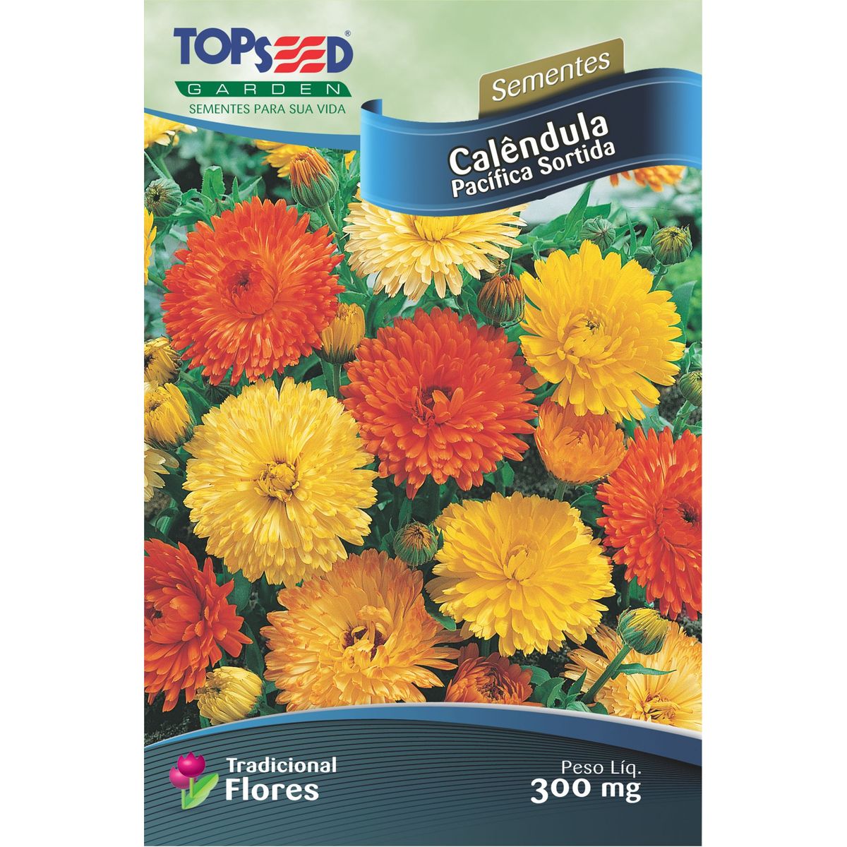Semente Flor Calêndula Pacífica, marca Topseed Garden - Foto Principal