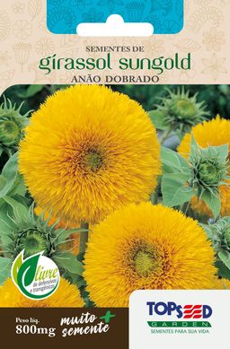 Semente Flor Girassol Ano Sungold Dobrado