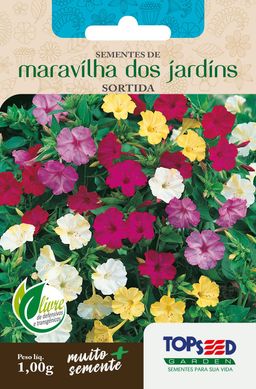 Semente Flor Maravilha Jardins