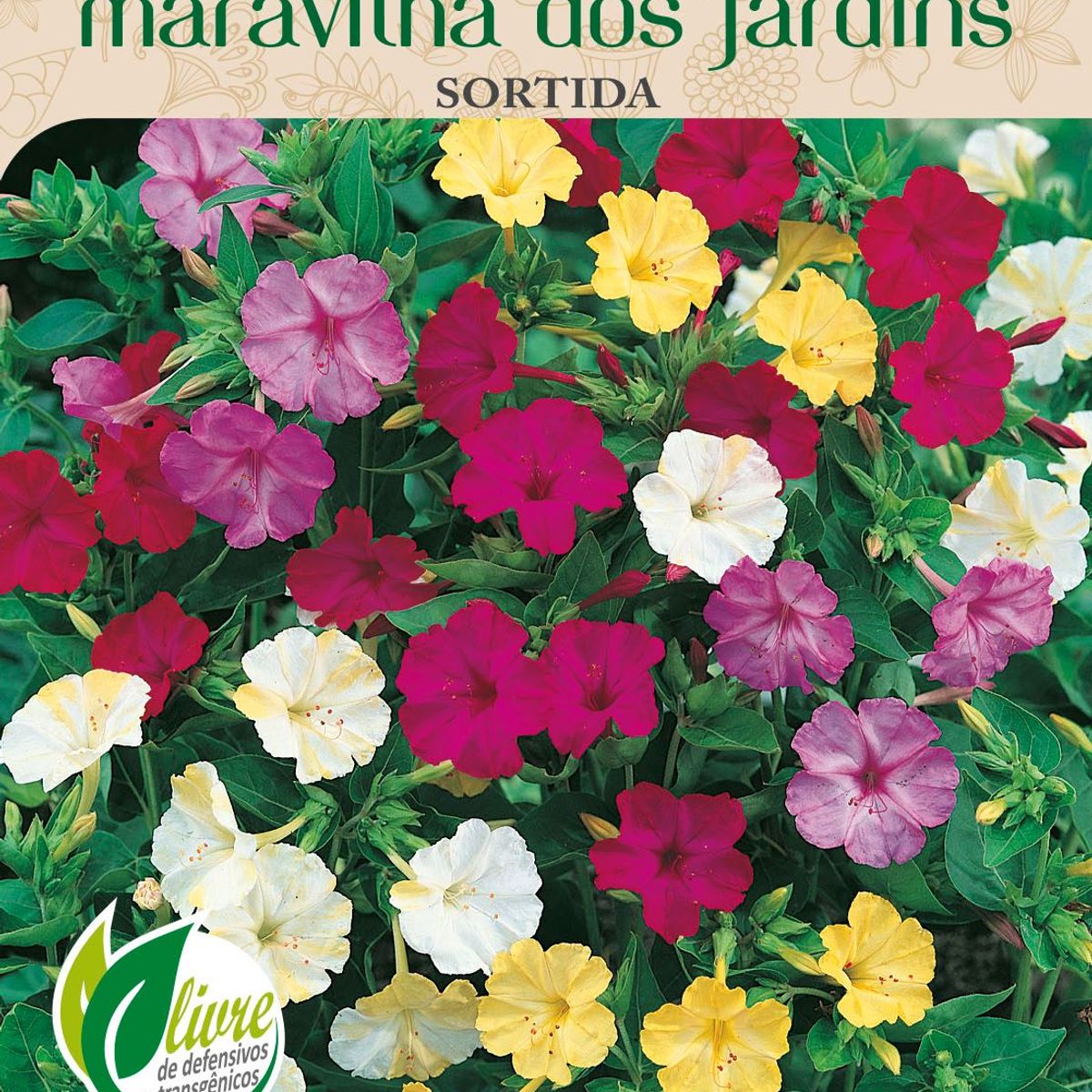 Semente Flor Maravilha Jardins, marca Topseed Garden - Foto Principal