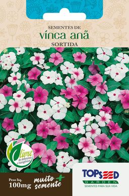 Semente Flor Vinca An Sortida