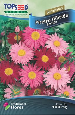 Semente Flor Piretro Hbrido, Sortida