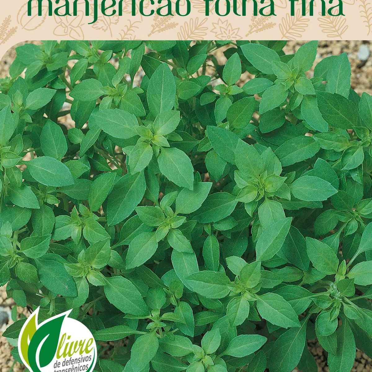 Semente Erva Manjericão Folha Fina, marca Topseed Garden - Foto Principal