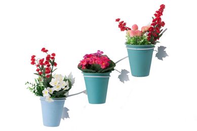 Drascena Plus 45 Vasos, Verde, 3x11, 15x18x64cm