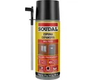 Espuma Expansiva Multiuso Champanhe 300ml Soudal