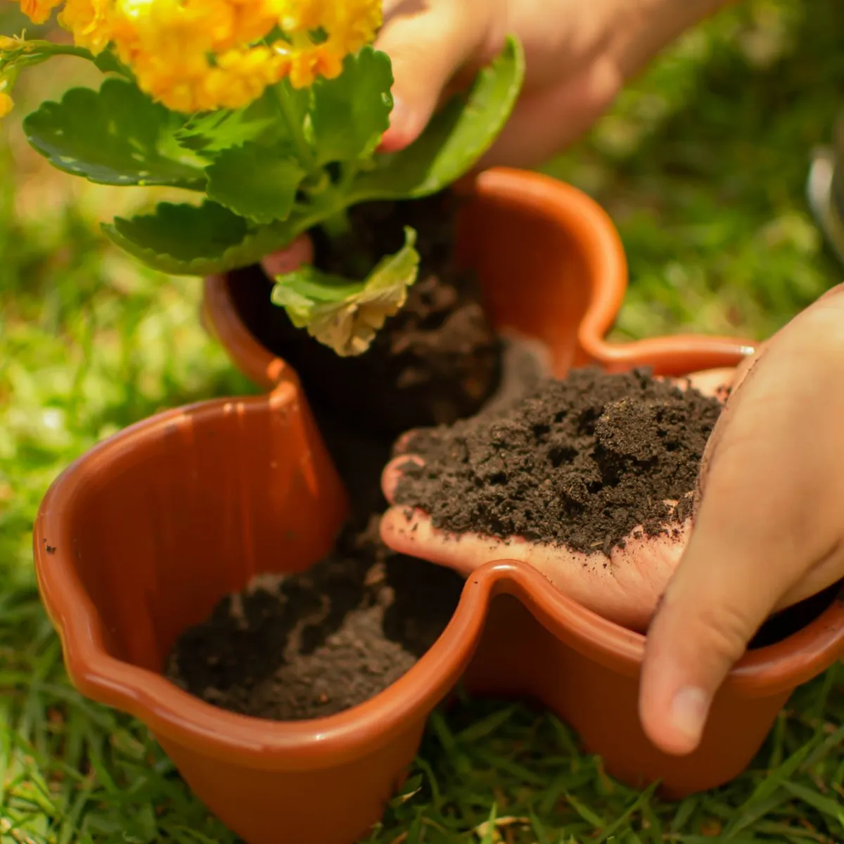 Terra Vegetal All Garden saco 2Kg, marca All Garden - Foto 2