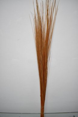 Capim Prata