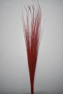 Capim Prata