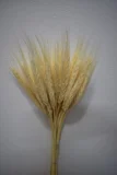 Flor Trigo