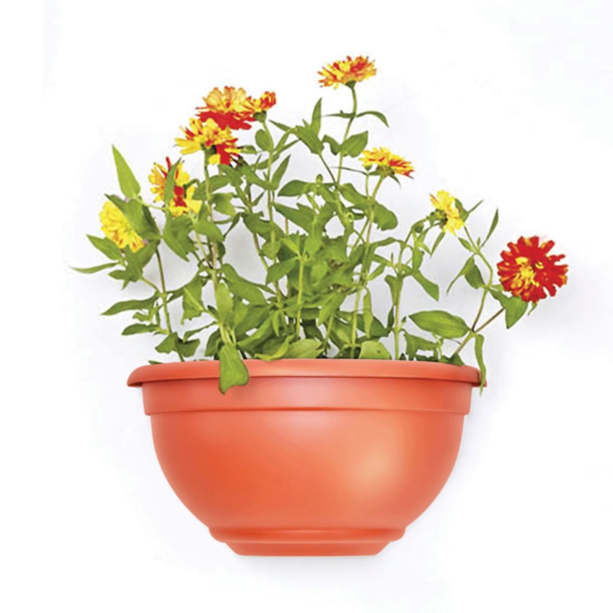Vaso de Parede Médio Marrom, marca Nutriplast - Foto 2