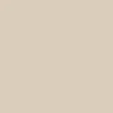 Porcelanato Fenix Nat Soft Bege 60x60 Cx144