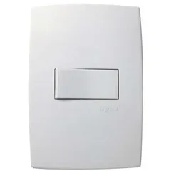 Conjunto Interruptor Simples 4X2 10A Pialplus Branco