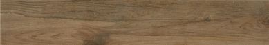 Porcelanato Esmaltado Reserva Natural Acetinado 19,4x118,2cm Caixa 1,37m Bege
