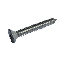 Parafuso Aa cabeça Chata 29x16 Ct 20Pc