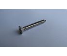 Parafuso Aa cabeça Chata 42x38 Ct 10Pc