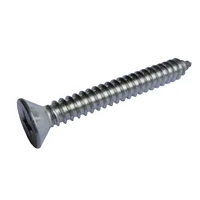Parafuso Aa cabeça Chata 48x25 Ct 10Pc