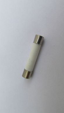 Fusvel Cermica Grande 6X30mm 20A Com 2 Peas