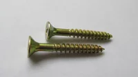 Parafuso Aço para Aglom Cabeça Chata Ph Ct20Pcs 35x12