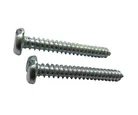 Parafuso Inox Aut Atarr Cabeça Panela Ct10Pcs 39x25